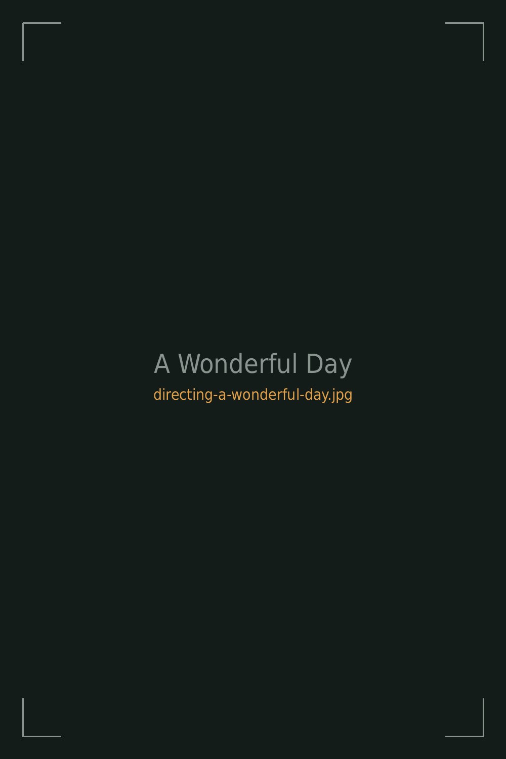A Wonderful Day