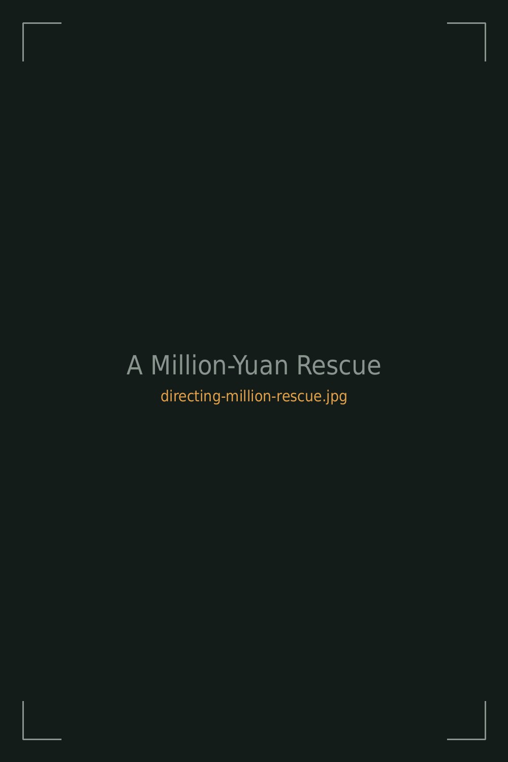 A Million-Yuan Rescue